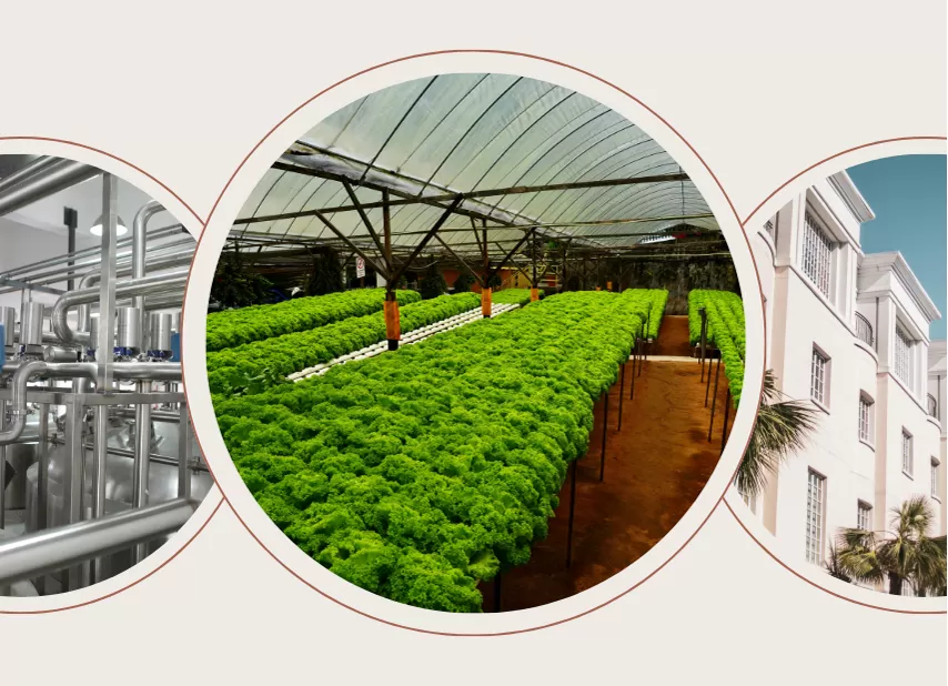 Penggunaan aplikasi luas